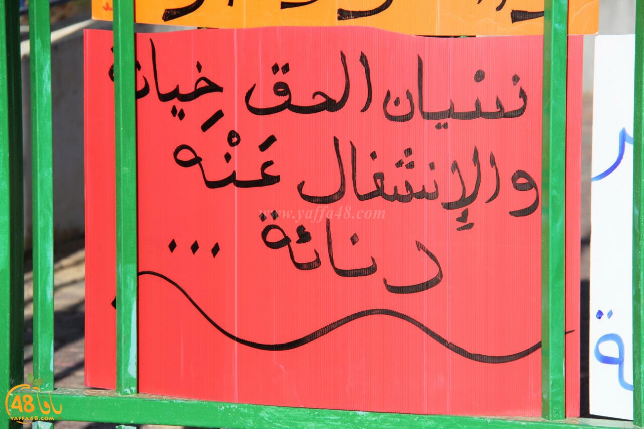 idrab shamela (22).jpg